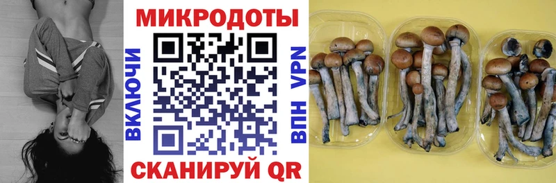хочу наркоту  Малоархангельск  Галлюциногенные грибы ЛСД 